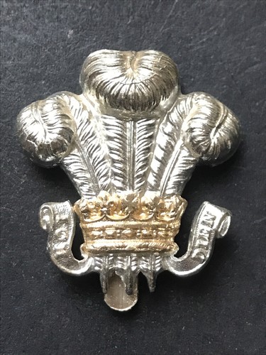 Royal wiltshire yeomanry - royal,