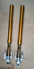 Ducati Multistrada 1000/1100 Ohlins Forks