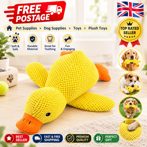 Squeaky plush duck - plush, toy