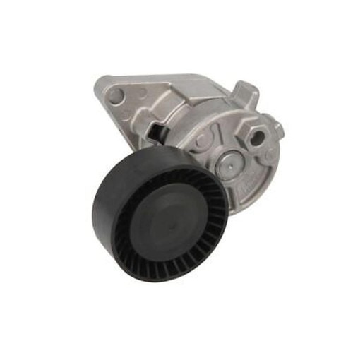 Ina 533 0015 tensioner - 0015,