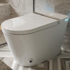ARRISEA Smart Toilet Bidet