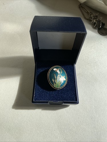 Fish crown cloisonne snow - in,