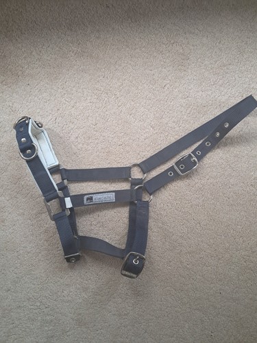 Kincade lunging cavesson cob - cavesson.,