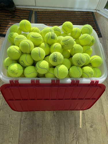 Used tennis balls - used,