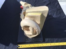ANTIQUE VINTAGE 1960 MEDICAL PLASTER ANATOMICAL MODEL OF HUMAN EAR ON WOOD BASE