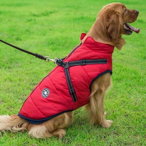Pet waterproof red - waterproof,