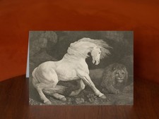 A Horse Affrighted by a Lion