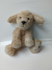 Russ Yellow Labrador Shining