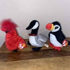 Collection of Three Bird