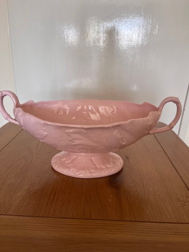 Rare wedgwood alpine pink - rare,