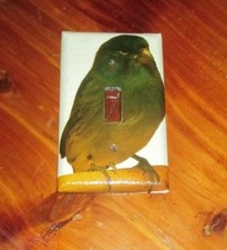 CLASSIC BORDER CANARY BIRD