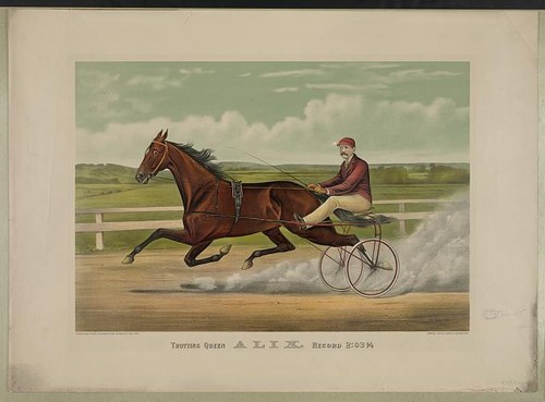 Photo new york - york, trotting