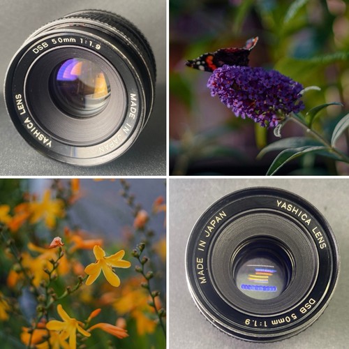 Yashica dsb 50mm c y - 50mm, f1.9