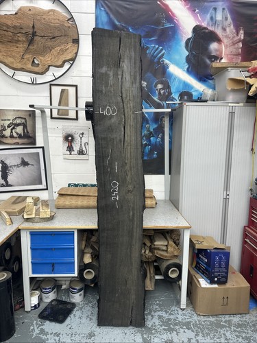 Bog oak 2420 - bog,