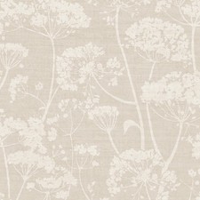 Grandeco Cow Parsley Wallpaper