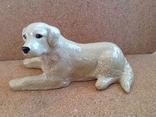 Wade retriever pets - my, series