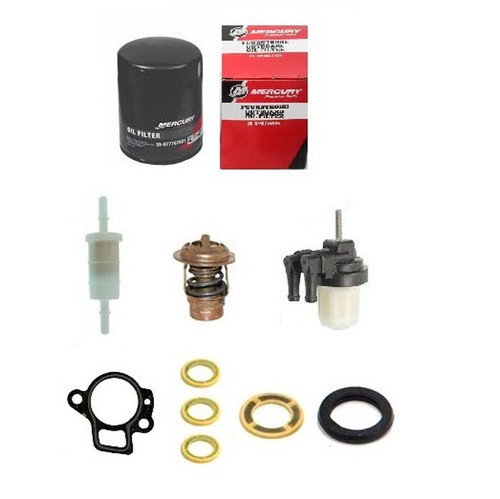 Mercury outboard 100 - 100, hour
