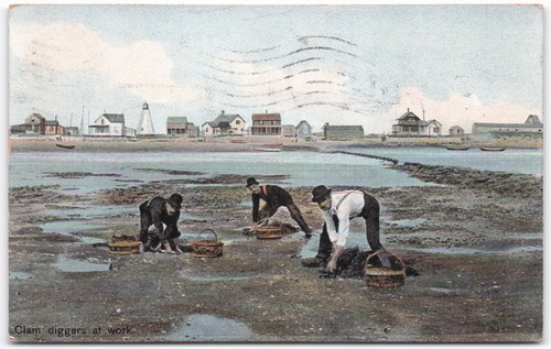Vintage 1910 salisbury clam - ma,