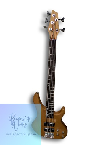 Washburn string electric - 5-string,