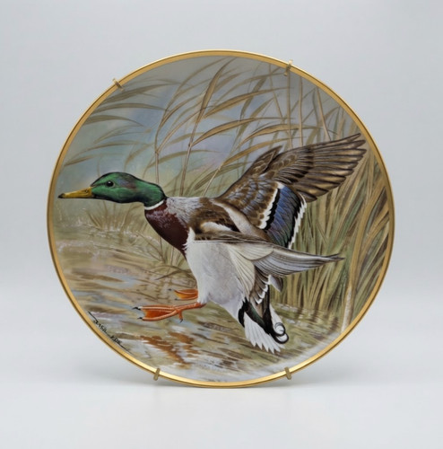 Basil ede water birds mallard - ede,