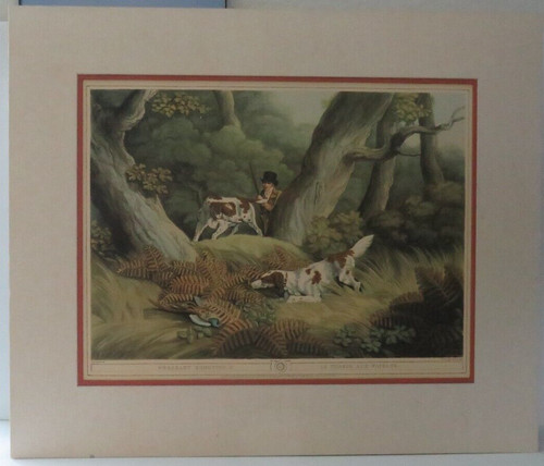 Pheasant shooting art - pheasant,