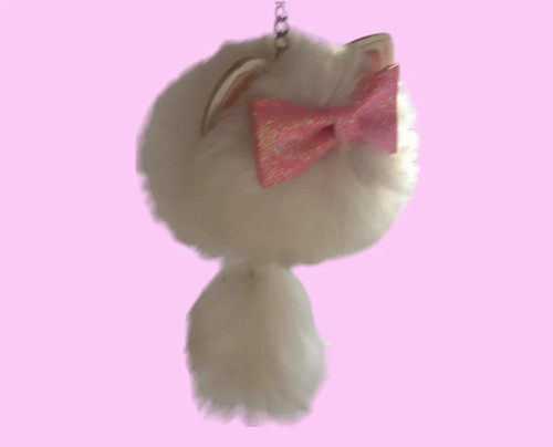 Gorgeous fluffball kitten