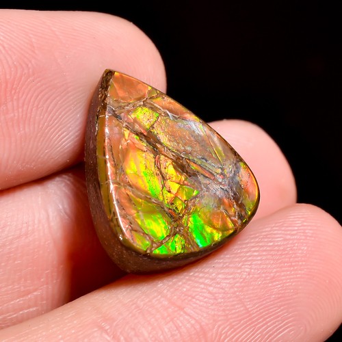 Cts natural ammolite - 10.5, pear