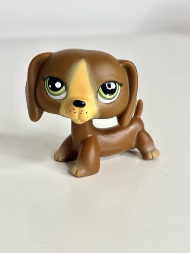 Dachshund dog 172 - dog, #172