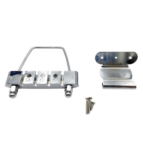 Modern hollow body bass - body,