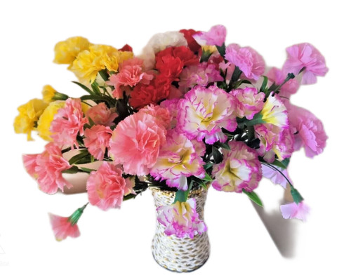 Artificial carnation silk fake - artificial,