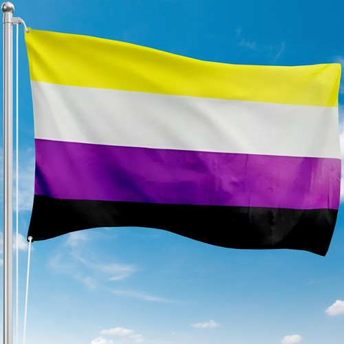Non binary pride flag - non,