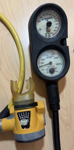 Sherwood magnum blizzard gauge - sherwood,