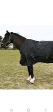 Black horse rug