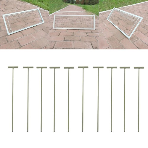 10x pigeon birds entrance - entrance, t