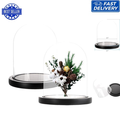 Exquisite glass dome - exquisite, cloche