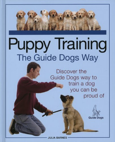 Puppy training the guide - training, dogs