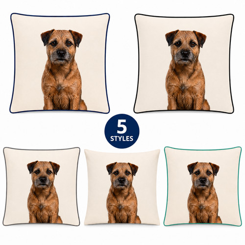 Border terrier cushion cover - border,