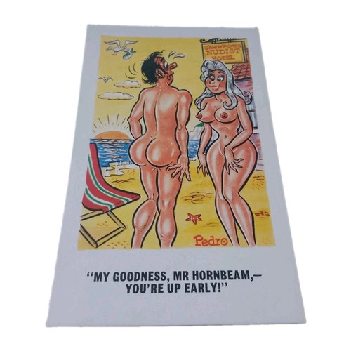 Saucy seaside postcard vintage - saucy,