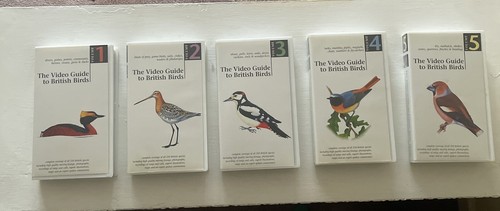 The video guide to - 5, british