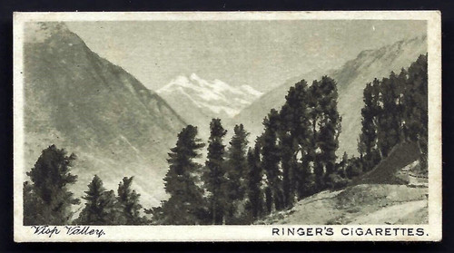 Edwards ringer bigg - edwards,,