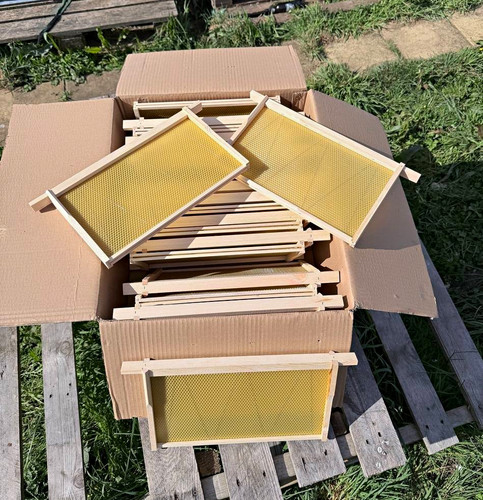 Wooden beehive frames with wax - beehive,