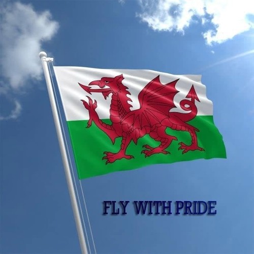 Large 5x3ft wales - large, welsh