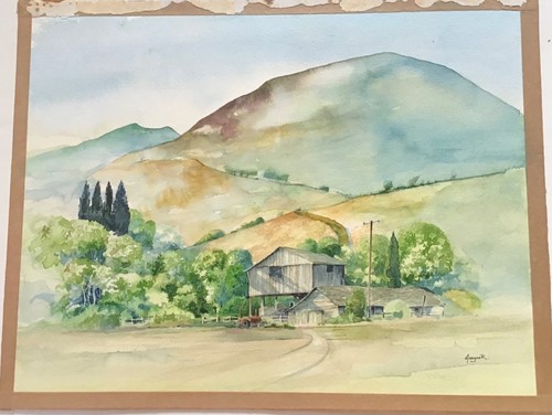 Original watercolour paintings - original,