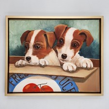 Jack russell terrier puppies - jack,