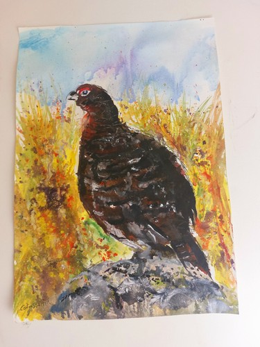 Original wildlife painting a - wildlife,