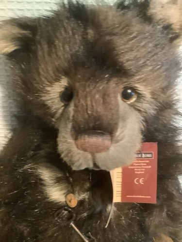 Charlie bear goober 2015 - 2015, teddy