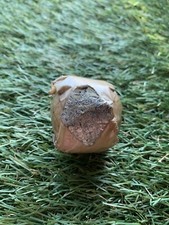 Penfold Bromford Autograph