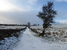 Photo 6x4 Snow along a country
