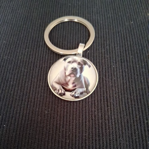 Staffy dog keyring - dog, keyring.