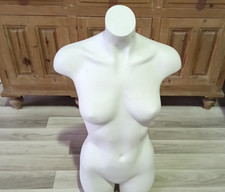 Female mannequin torso free - female,